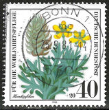 [Charity Stamps - Flowers & Plants, type AFQ]