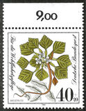 [Charity Stamps - Aquatic  Plants, type AGZ]