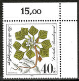 [Charity Stamps - Aquatic  Plants, type AGZ]