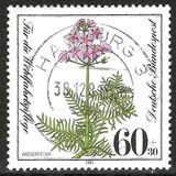 [Charity Stamps - Aquatic  Plants, type AHB]