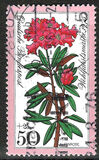 [Charity Stamps - Alpine Flowers, type YJ]