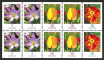 [Definitive Issue - Crocus, tip CGW]