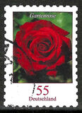 [Definitive Issue - Rose, tip CNB]