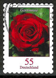 [Definitive Issue - Rose, tip CNB]