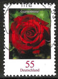 [Definitive Issue - Rose, type CNB]