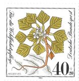 [Charity Stamps - Aquatic  Plants, type AGZ]