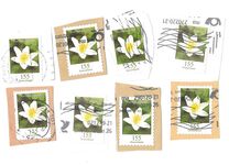 [Definitives - Flowers, type DLL]