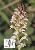 [Charity Stamps - Orchids, тип ALM]