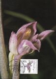 [Charity Stamps - Orchids, тип ALN]