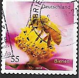 [Fauna - Bees, type CRH]