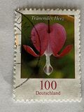 [Definitive Issue - Bleeding Heart, tip CJD]