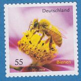 [Fauna - Bees, type CRH]