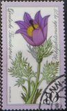 [Charity Stamps - Alpine Flowers, type YK]