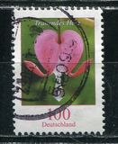 [Definitive Issue - Bleeding Heart, type CJD]