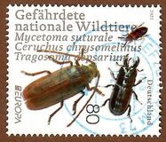 [EUROPA Stamp - Endangered National Wildlife, type DPG]