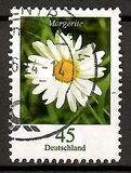 [Flora - Marguerite, type CFX]