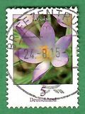 [Definitive Issue - Crocus, tip CGW]