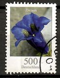 [Flowers - Blue Gentian, type CTS]