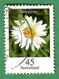 [Flora - Marguerite, tip CFX]