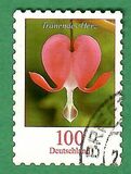 [Definitive Issue - Bleeding Heart, type CJD]