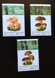 [Youth Philately - Mushrooms, type DJJ]