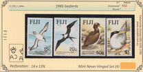 [Seabirds, type PW]