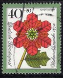 [Christmas Stamp, type WQ]