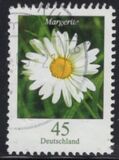 [Flora - Marguerite, tip CFX]