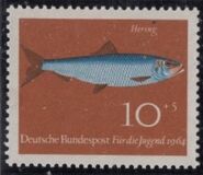 [Youth Health - Fish, type ID]