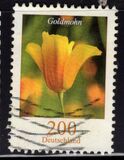 [Flowers - California Poppy, tip CJW]