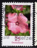 [Definitive Issue - Flowers, type CGH]