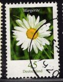 [Flora - Marguerite, type CFX]