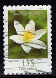 [Definitives - Flowers, type DLL]