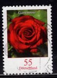 [Definitive Issue - Rose, type CNB]