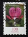 [Definitive Issue - Bleeding Heart, tip CJD]