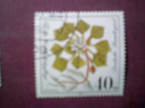 [Charity Stamps - Aquatic  Plants, type AGZ]