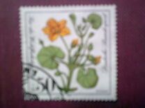 [Charity Stamps - Aquatic  Plants, type AHA]