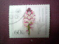 [Charity Stamps - Orchids, тип ALN]