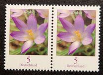 [Definitive Issue - Crocus, tip CGW]