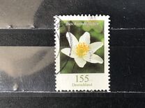 [Definitives - Flowers, type DLL]