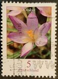 [Definitive Issue - Crocus, tip CGW]