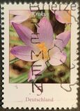 [Definitive Issue - Crocus, tip CGW]