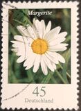 [Flora - Marguerite, tip CFX]