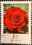 [Definitive Issue - Rose, type CNB]