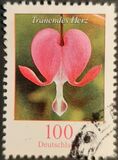 [Definitive Issue - Bleeding Heart, type CJD]