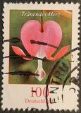 [Definitive Issue - Bleeding Heart, type CJD]