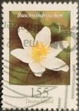 [Definitives - Flowers, type DLL]