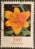 [Definitive Issue - Tiger Lily, type CIV]