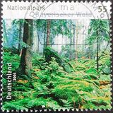 [German National Parks - Bavarian Forest, tip CFY]