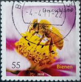 [Fauna - Bees, type CRH]